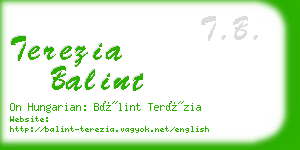 terezia balint business card